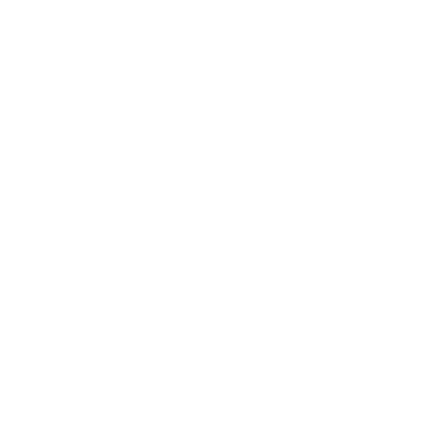 Birch Bird Logo